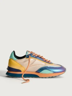 Discount HOFF DAHLIA