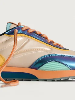 Discount HOFF DAHLIA