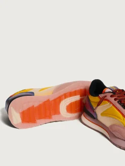 Hot HOFF THE GRIFFINS