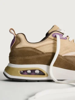 Outlet HOFF TODAI JI