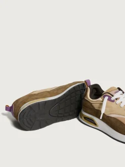 Outlet HOFF TODAI JI